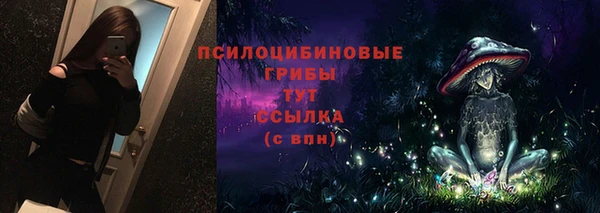 прущий лед Ельня