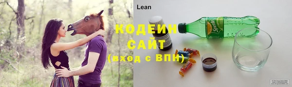прущий лед Ельня