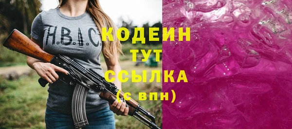 прущий лед Ельня