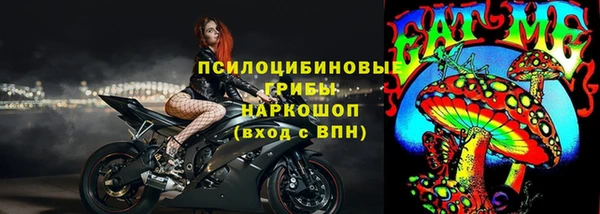 прущий лед Ельня
