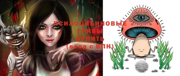 прущий лед Ельня