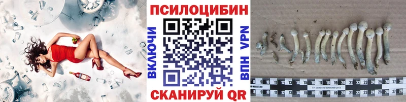 Купить закладки  Борисоглебск  Псилоцибиновые грибы мицелий 