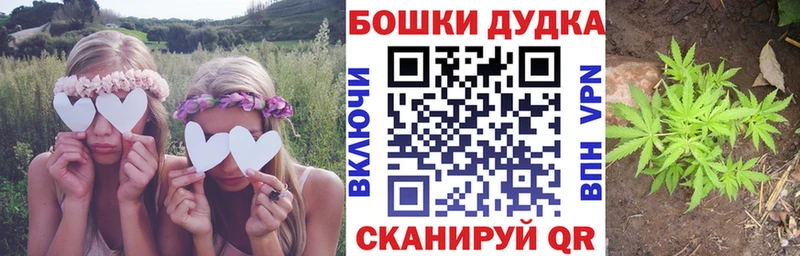 Каннабис Bruce Banner  Купить где  Борисоглебск 